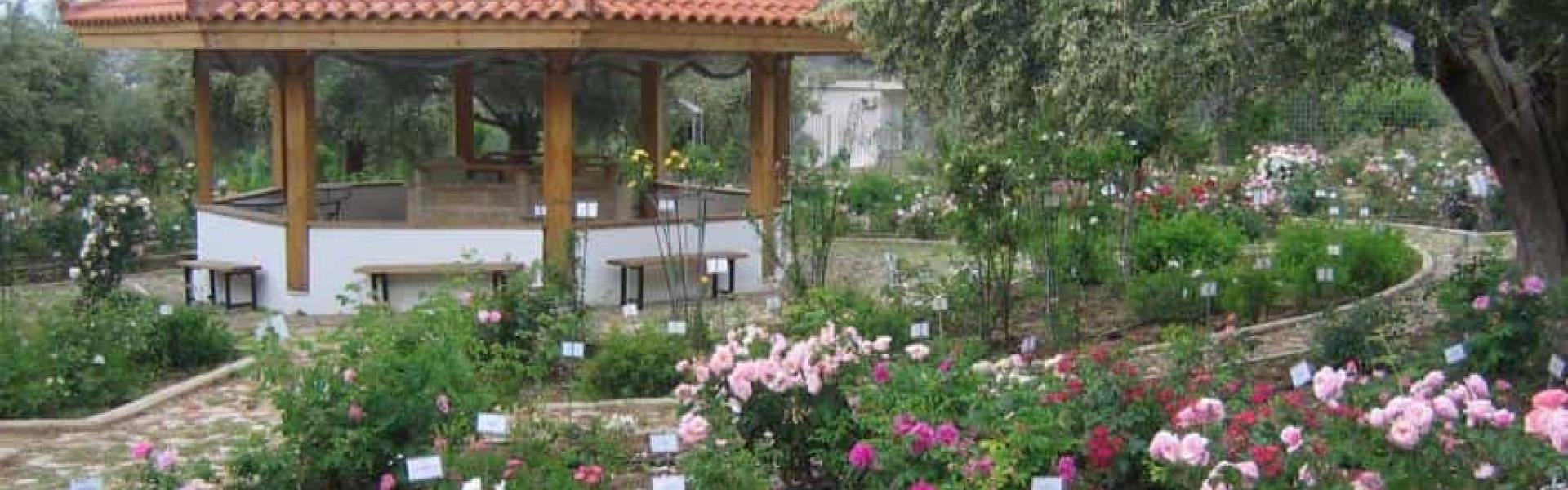 Hellenism Damianos Loutraki center of Hellenism Loutraki