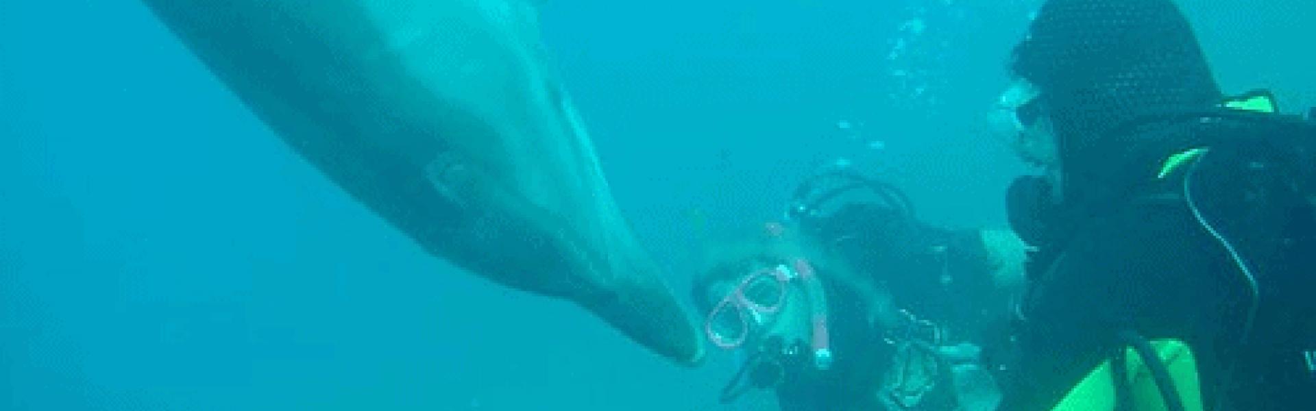 Καταδύσεις Scuba Diving στο Λουτράκι 
