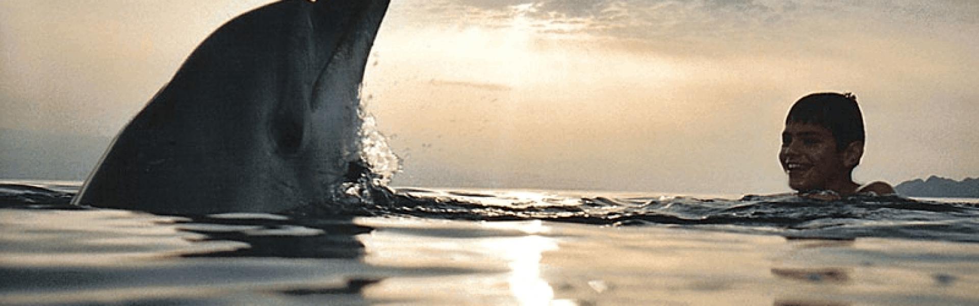 Dolphins Corinthian golf Dolphins in Corinthian golf