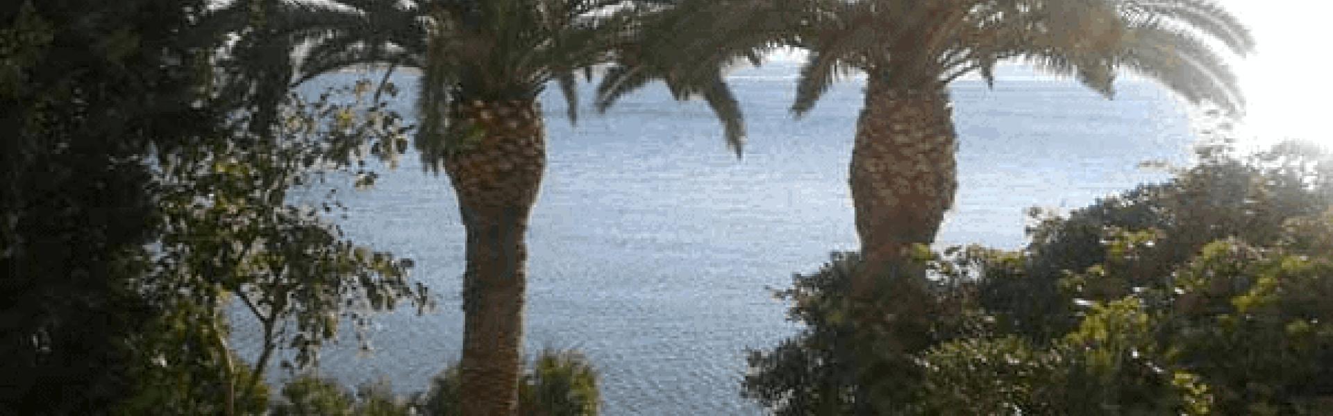 Hotel Theoxenia hotel theoxenia loutraki