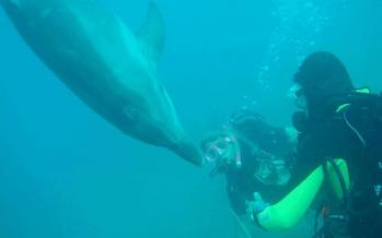 Καταδύσεις Scuba Diving στο Λουτράκι 