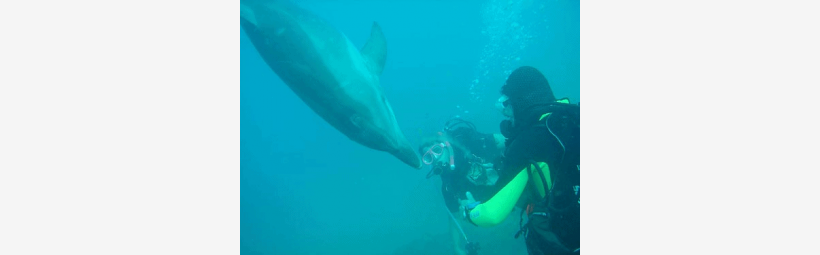 Καταδύσεις Scuba Diving στο Λουτράκι 